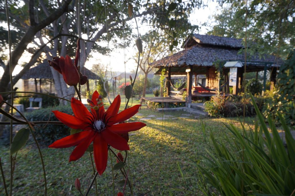 Bannamhoo Bungalows Pai Dış mekan fotoğraf