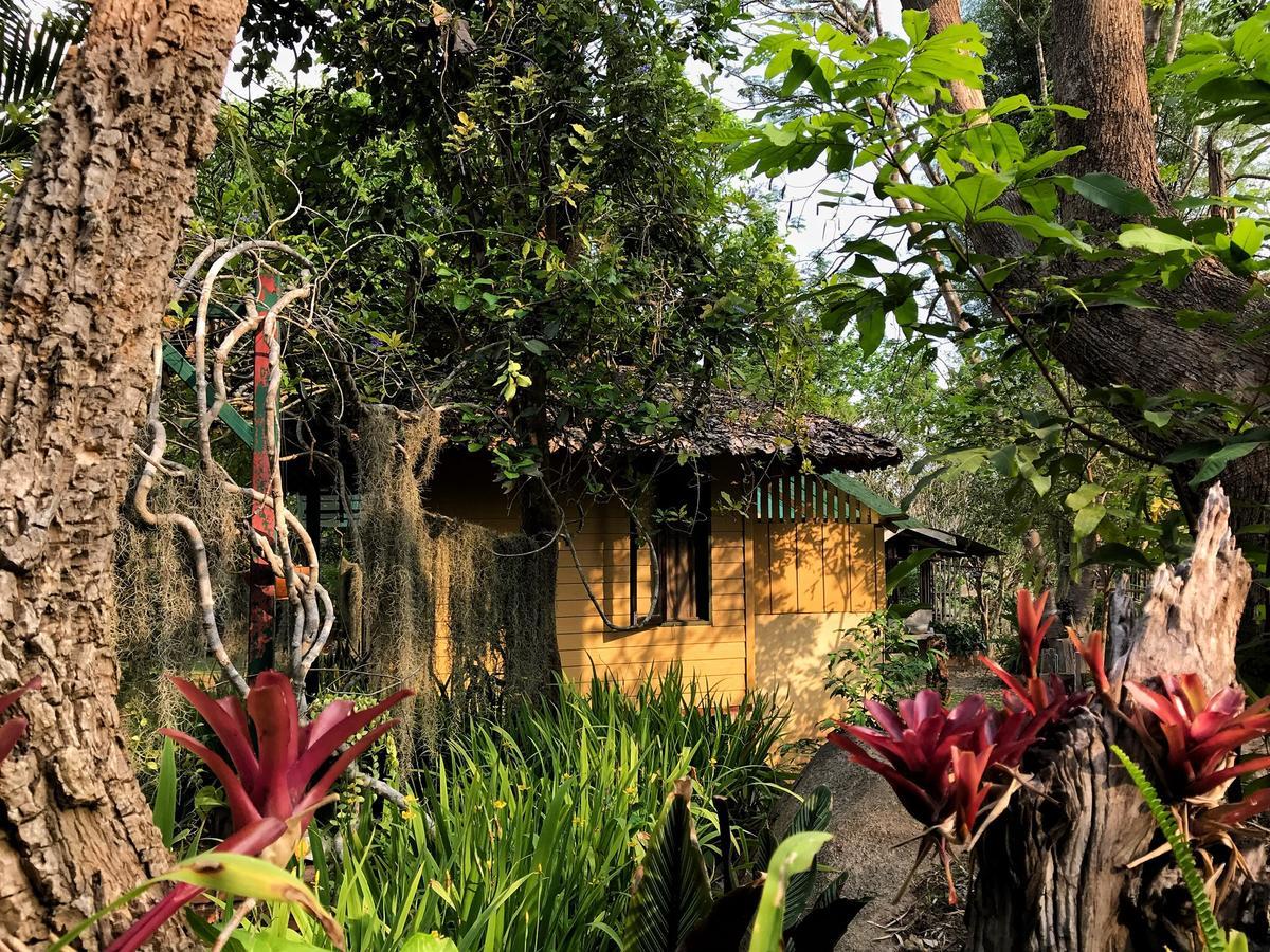 Bannamhoo Bungalows Pai Dış mekan fotoğraf